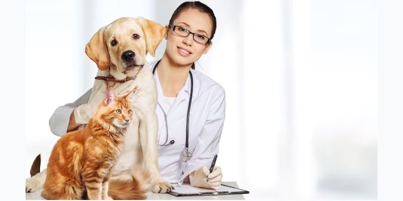 Best Pet Insurance Australia: Protecting Your Furry Friends